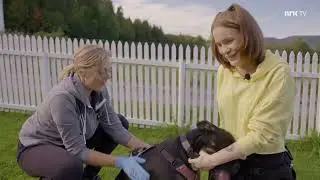 Fra bølle til bestevenn sesong 1 2.episode