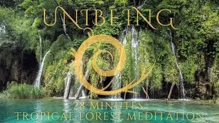 30 Minutes Meditative Tropical Forest Soundscape