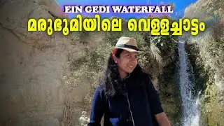 മരൂഭൂമിയിൽ ഒരു വെള്ളച്ചാട്ടം|EIN GEDI&WATERFALL OF DAVID|Dona Philip inchikalayil
