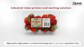 Advanced Industrial Printing Solutions for Professional Applications in the Food Industry
