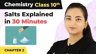 Class 10 Chemistry Chapter 2 | Salts Explained in 30 Minutes - Acids Bases and Salts 2022-23