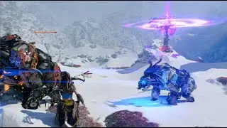 HZD-R - Bears: With health insurance