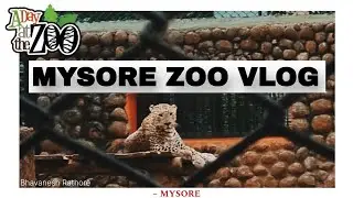 Exploring Mysore Zoo | A Virtual Tour of Mysuru Zoo | Zoological Gardens | 4K
