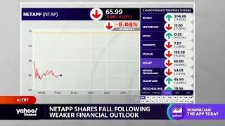 Crowdstrike, Workday, NetApp stocks move on earnings