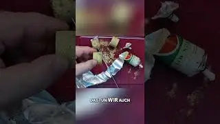 13 Jahre alte Erbswurst! K&auml;fer im Essen! Ekel Alarm! #wastingfood #erbsen #prepper