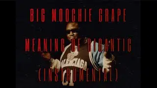 Big Moochie Grape - Meaning Of Gigantic (INSTRUMENTAL)