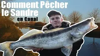 Comment p&ecirc;cher le SANDRE  en canal - Animation & mat&eacute;riel