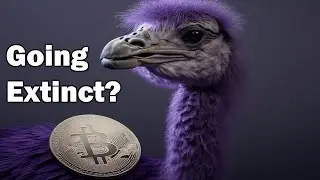 Is Nostr Dead?