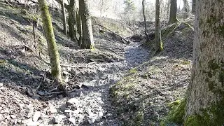 Selbecker Bach (&raquo;Blaue Donau&laquo;) &bull; Ein Abschluss &bull; Anfang April 2020