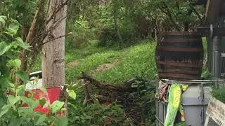 Old wine barrel conversation to nest