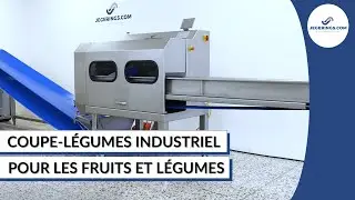 Coupe-Légumes Industriel BCM-3000 | Machine Pour Couper les Fruits et Légumes