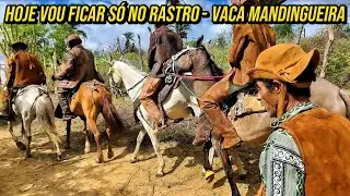 ZOINNHO ABOIADOR VAI ATRÁS DOS RASTROS DA VACA PARA AJUDAR OS VAQUEIROS A PEGAR A VACA NO MATO 