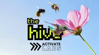 The Hive: The Empire is Burning Series Session 4