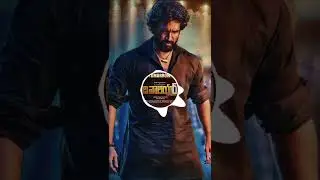 GURU BGM | THE WARRIOR BGM | RAPO | ADHI PINISETTY | DSP