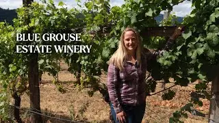 Discover Estate-Grown Wines from Blue Grouse Winery | Family-Owned in BC&rsquo;s Cowichan Valley