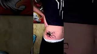 Scar Cover Up Tattoo 3D Realism Spider