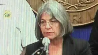 Condo Collapse Pets -  What Happened to Them? Mayor Responds to The Miami Herald in Odd Response