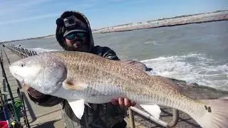 Bull Red Run Halloween 2019