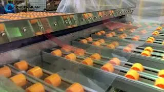 FLEXO PLATE CLEANER