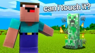 I Tried Teaching My Friend How To Beat Minecraft...