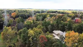 Fall Colors at Stoney Creek Metropark