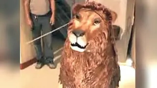 Da Vinci's Lion Robot Hides a Special Surprise