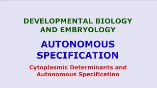 Cytoplasmic Determinants and Autonomous Specification | Cell Fate Map | Embryo Development Biology