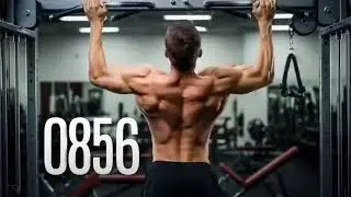 15 Minutes On Antonio Regular Gym Exercises Pull Up Exercises count Down Timer Video