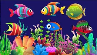 Fish lullaby  Bedtime lullaby & calming undersea  Fish aquarium  Baby sleep music #fishlullaby #422