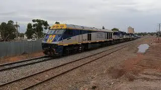 EL57, CM3308 & CM3309 shunt Condobolin NSW.  Thu 23rd Nov 2023