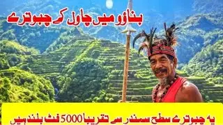 Banaue Rice Terraces in Philippine in Urdu/Hindi