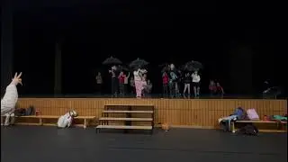 Bambinis 