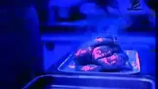 Food Standards Agency - Chefs (2002, UK)