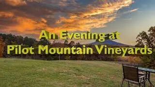 Pilot Mountain Vineyards