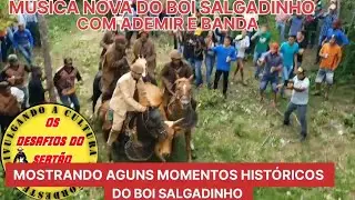 NOVA MÚSICA DO BOI SALGADINHO COM ADEMIR E BANDA.