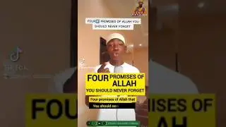 Four promises of Allah you should never forget. #allah #promise #islamicfigure #foryou