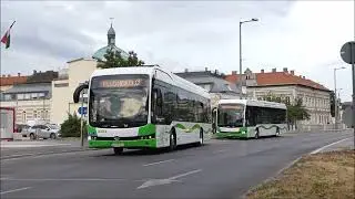 Új elektromos BYD buszok Miskolcon