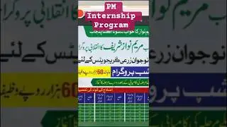 Maryam Nawaz Zari Graduate Internship Program And Apply Method With Details - #intership