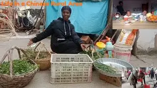 The Chen Family's Simple Life In The Chinese Countryside