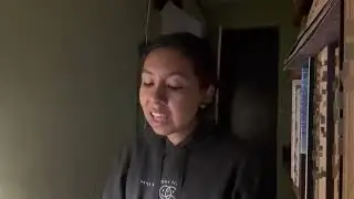 Liability cover (lorde)