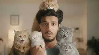 Aaj Meri Billi Ne Apne Bacche Dikhaye 😍 | Cute Cat Vlog