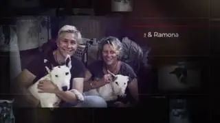 Forever In Our Hearts... A Tribute to Our Furry House Sitting Friends