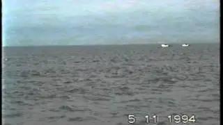 Povah's pirates 5 drift wood