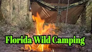 Florida Wild Camping - Overnighter on Wild Land #floridacamping #wildflorida #wildlands #hammocking
