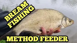 Bream Fishing On The Method Feeder - Micklewrights Flash