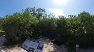 MM84 Windley Key Fossil Reef Geological State Park - Quarry Equipment