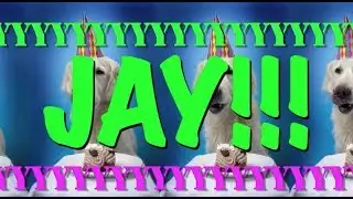 HAPPY BIRTHDAY JAY! - EPIC Happy Birthday Song
