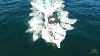 Boating with Dolphins on the Emerald Coast of Florida