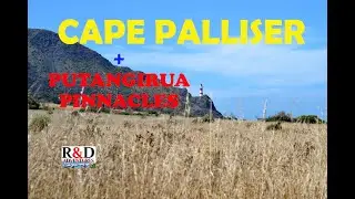 Cape Palliser | Lighthouse | Putangirua Pinnacles | Scenes of New Zealand