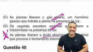Q39 UNEB 2025